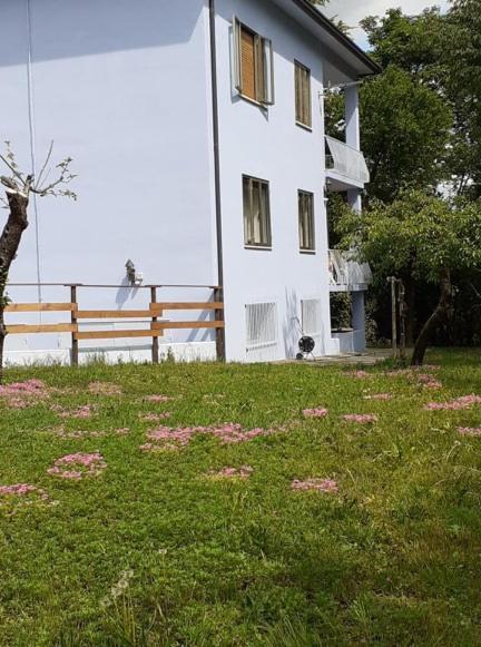 Apartamento Grappaland Crespano del Grappa Exterior foto